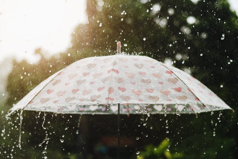 Hãy cùng chiêm ngưỡng hình ảnh chất lượng cao về giọt mưa rơi trên ô dù cùng hoàng hôn và cảnh xanh đẹp như mơ. Với ánh nắng vàng óng ánh, hình ảnh này sẽ cho bạn cảm giác thật bình yên và thư thái.