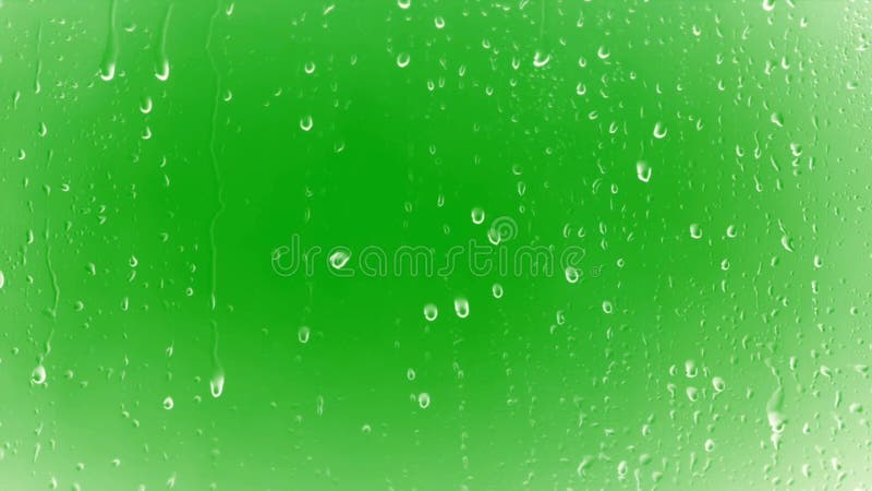Rain Drops on Glass with Green Screen Background Stock Video - Video of ...