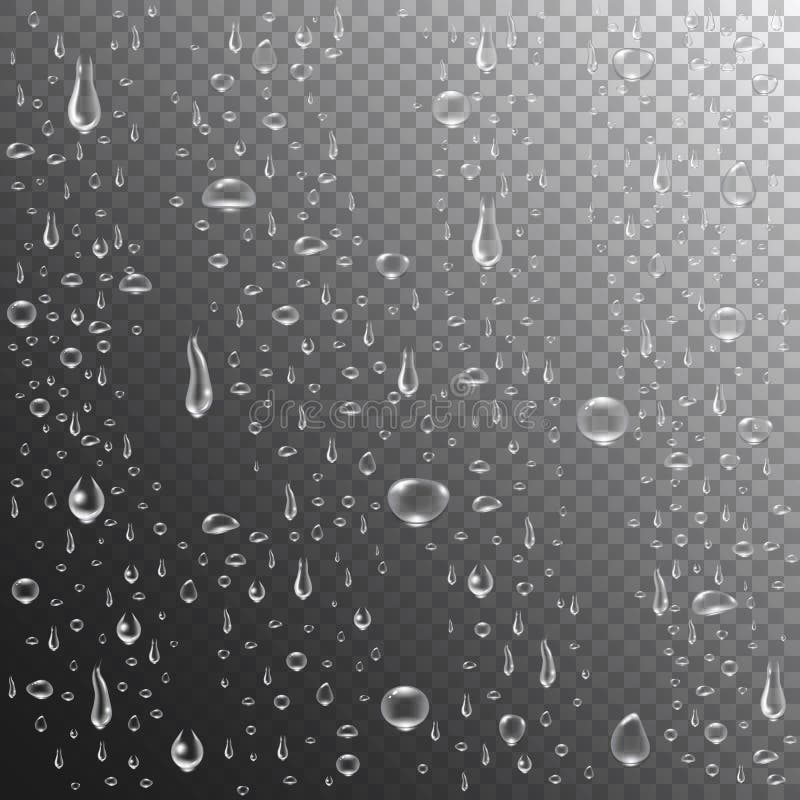 Rain drops or steam shower. Realistic water drops on transparent background. Clear vapor bubbles on window glass surface.