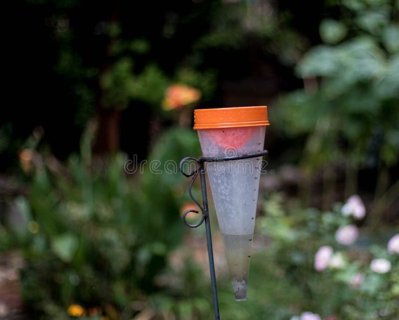 Rain Gauge Half Full or Half Empty Stock Photo Image of highveld
