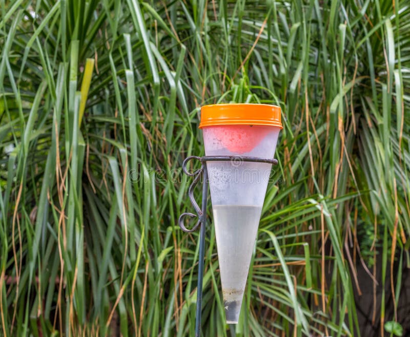 Rain Gauge Half Full or Half Empty Stock Photo Image of highveld
