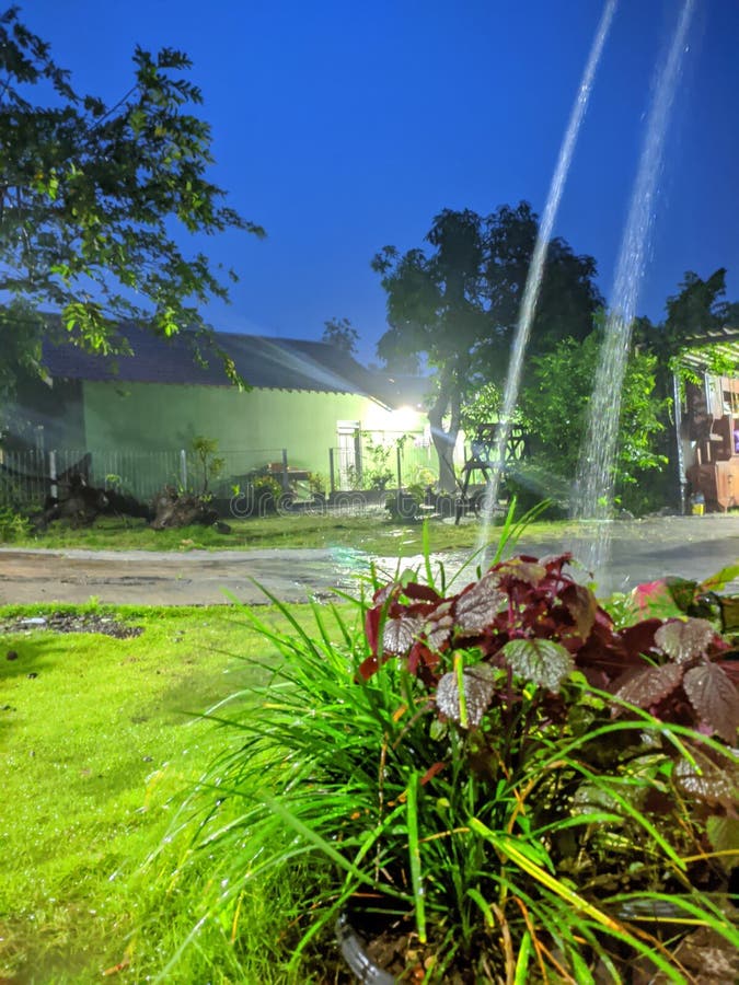 Rain at Night Calms the Heart and Mind by Enjoying the Green Grass and