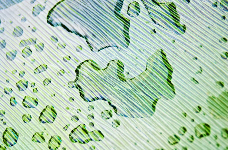 Rain Patterns on Glass