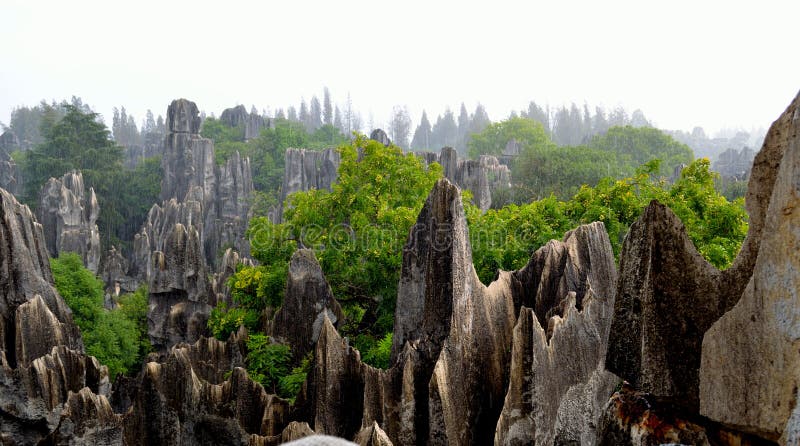 Rain, the Stone Forest
