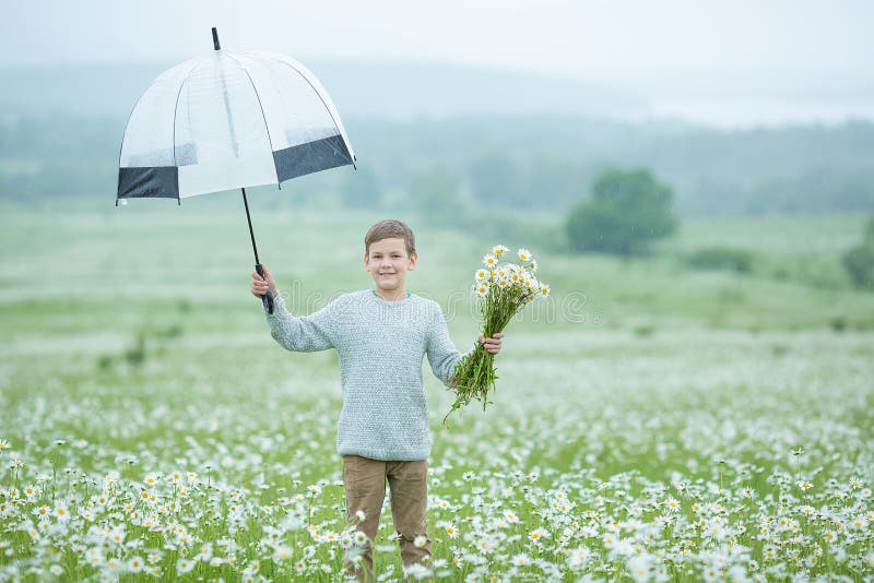 Rain and sunshine with a smiling boy holding an umbrella and running through a meadow of wildflowers dundelions chamomile daisy an. Horizontal, playing.