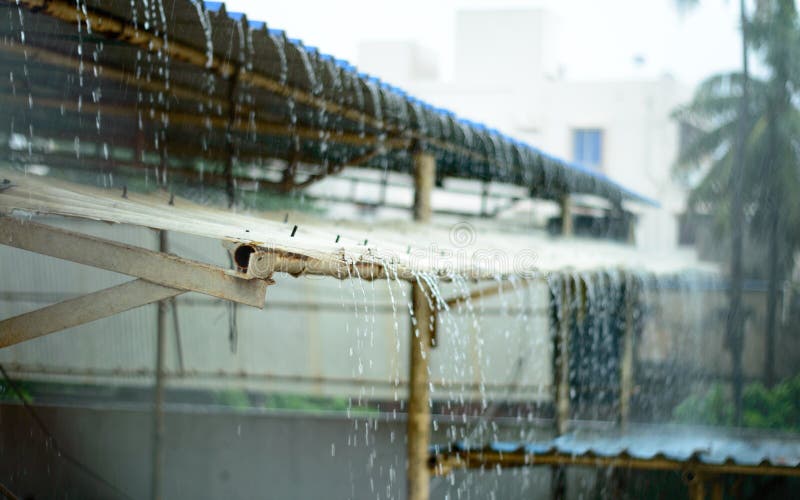 Rain on a Tin Roof. Rain Falling from the Roof. Rainy day nature background. Selective Focus on Foreground royalty free stock image