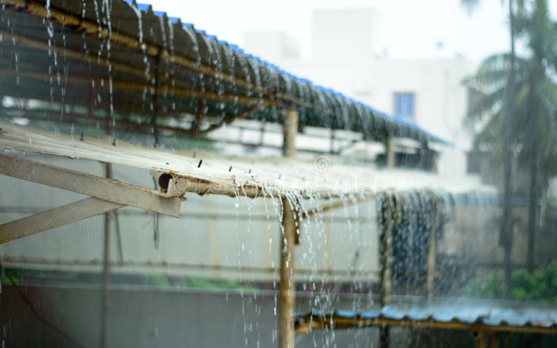 Rain on a Tin Roof. Rain Falling from the Roof. Rainy day nature background. Selective Focus on Foreground stock images