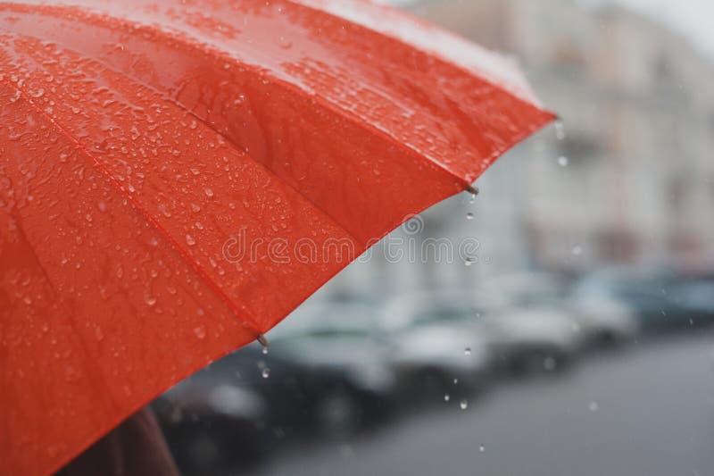 Rain on umbrella stock image. Image of brolly, bright 80316949