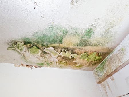 Rain Water Leaks on the Ceiling Causing Damage. a Patch of Dispersed