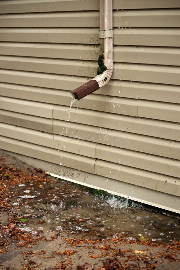 Rain Water Pours Out of a Short Downspout on Side of House Pooling by