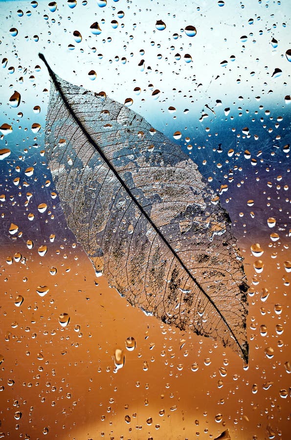 Rain on Window with Leaf with Natural Water Drops. Stock Photo - Image of  mood, leaf: 195802796