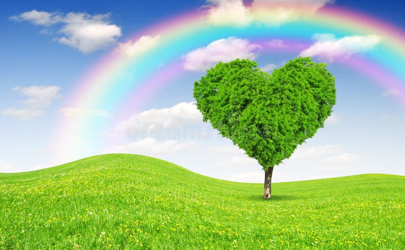 Tree in the shape of heart stock image
