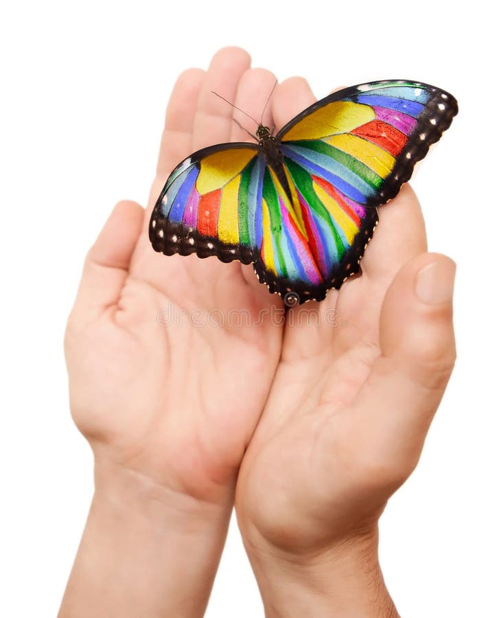 Rainbow butterfly