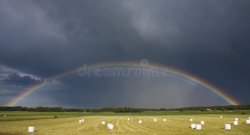 Rainbow in Field