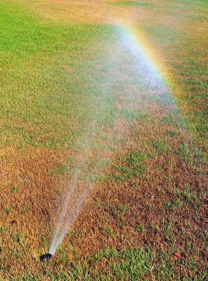 Rainbow on lawn