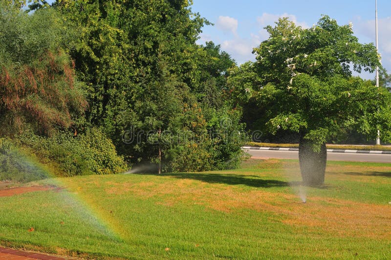 Rainbow on lawn