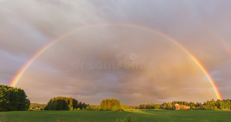 Rainbow on meadow