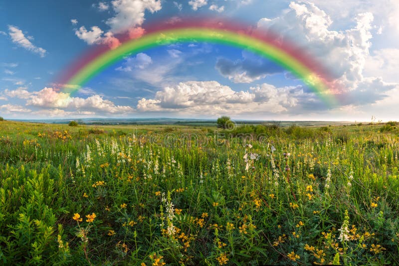 Rainbow over flower meadow, summer landscape. Rainbow over flower meadow, summer landscape