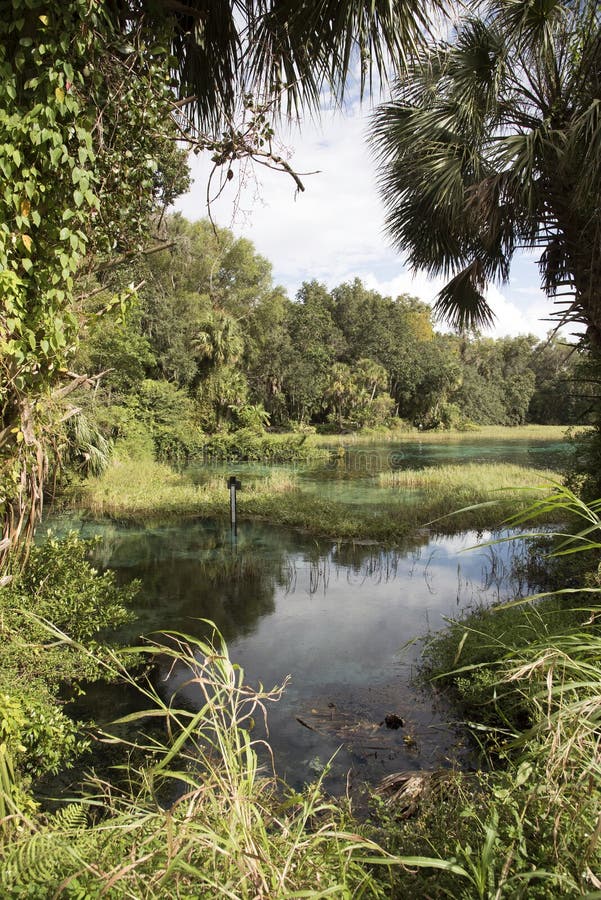 Rainbow Springs State Park Florida USA Stock Image Image of state