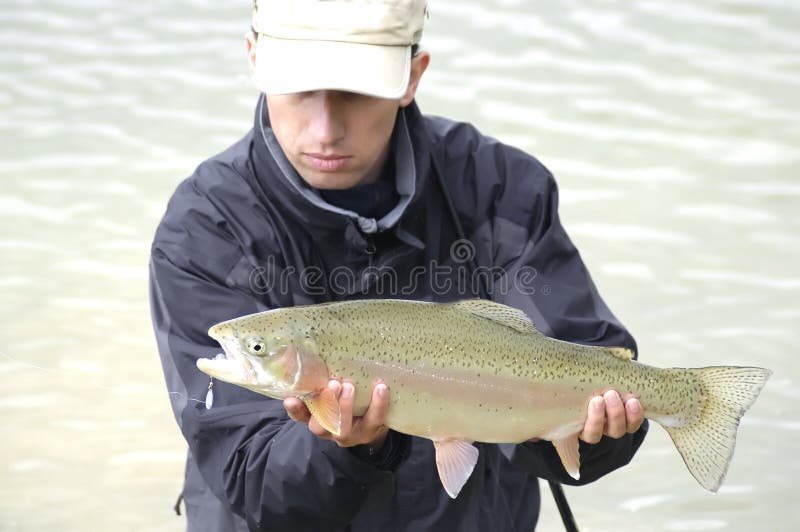 Rainbow trout