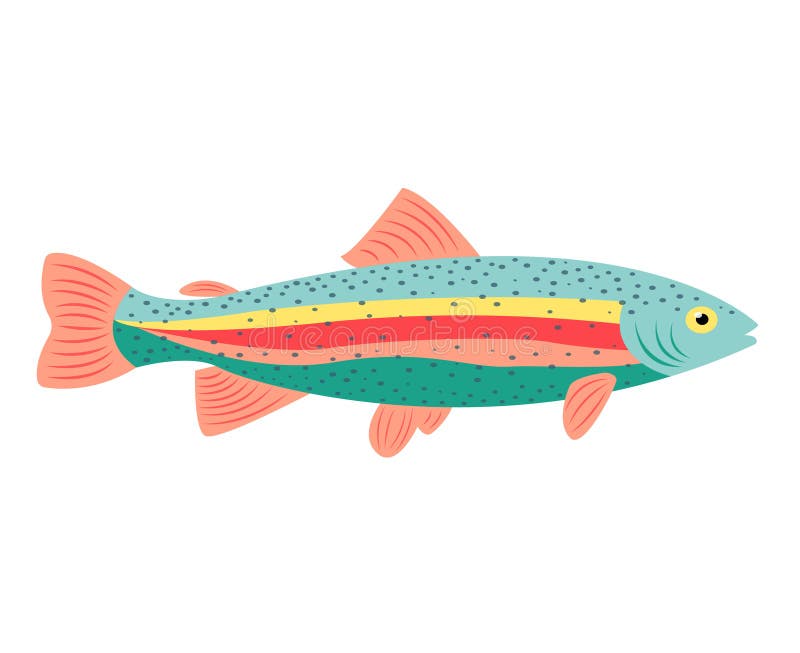 Rainbow Trout Stock Illustrations 884 Rainbow Trout Stock
