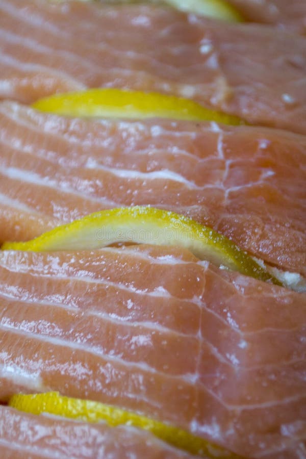 Rainbow Trout Fillet Picture. Image 87857630