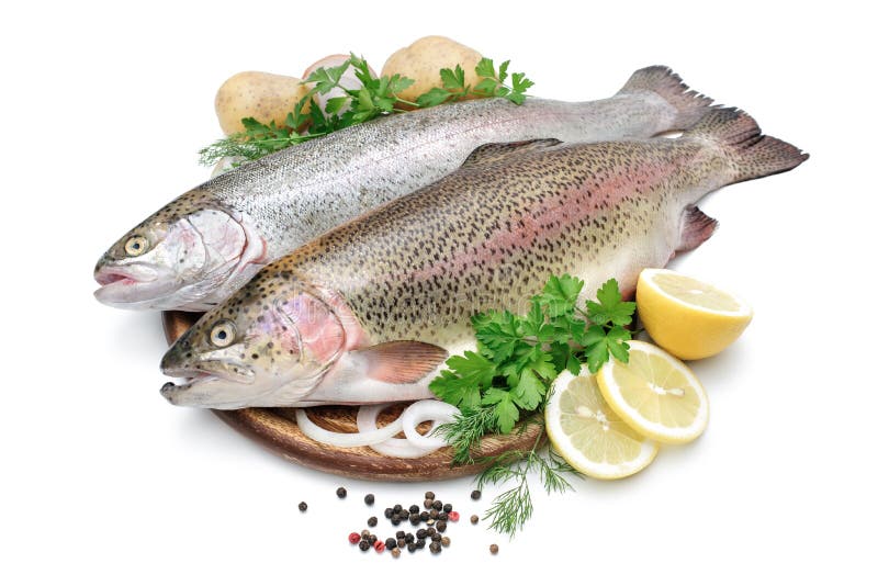 Rainbow Trout with Fresh Herbs Stock Photo Image of fishing, food 35403200