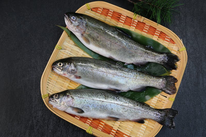 Rainbow trout stock image. Image of food, closeup, water 99513697