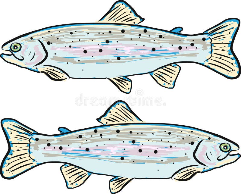 Rainbow Trout Vector Illustration Clip-art Fish Image Stock Vector
