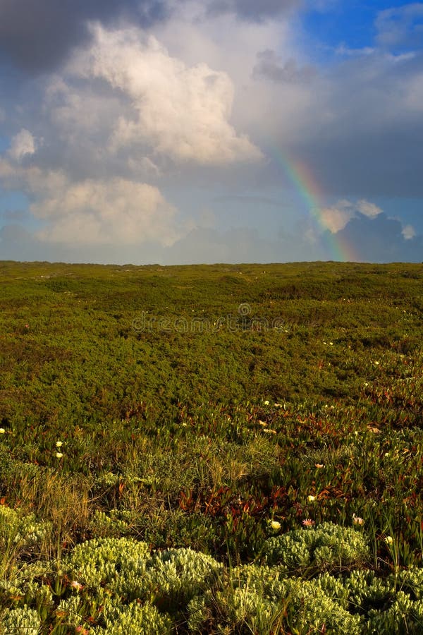 Rainbow and tundra