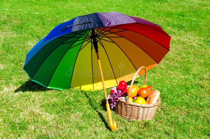 Rainbow Umbrella and Picnic Basket Stock Photo Image of field