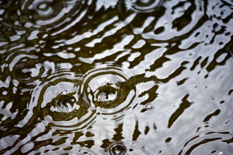 Raindrops and circles on the water, dripping on the surface royalty free stock images Raindrops and circles on the water, dripping on the surface royalty free stock images