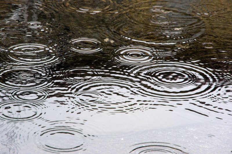 Raindrops on puddle on rainy day