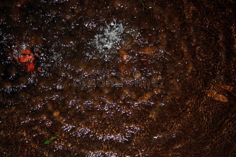 Raindrops spada w stawie obraz royalty free Raindrops spada w stawie obraz royalty free