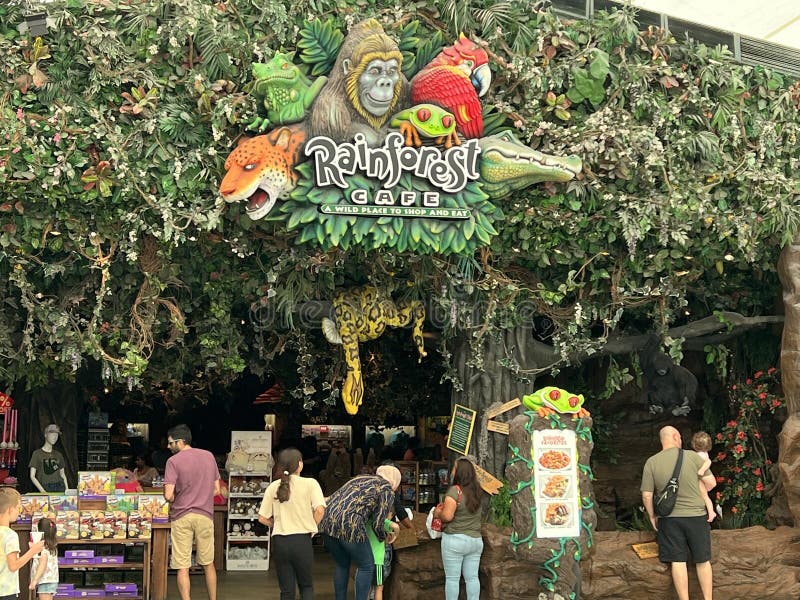 Rainforest Cafe - Sawgrass Mills (Ft. Lauderdale) Restaurant - Sunrise, FL