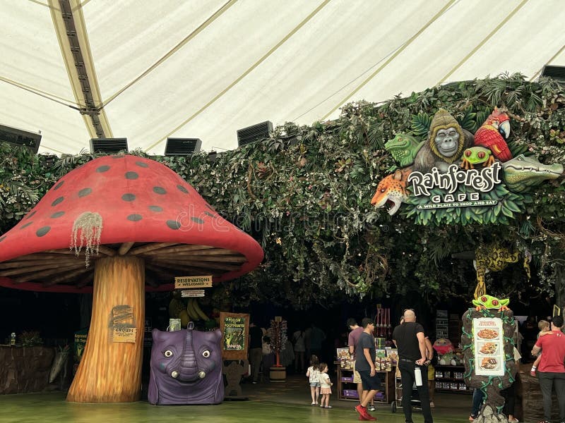 Rainforest Cafe - Sawgrass Mills (Ft. Lauderdale) Restaurant - Sunrise, FL