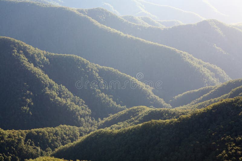 Rainforest Morning. Detail of rainforest mountain ridges with early morning mist, New South Wales, Australia stock photos Rainforest Morning. Detail of rainforest mountain ridges with early morning mist, New South Wales, Australia stock photos