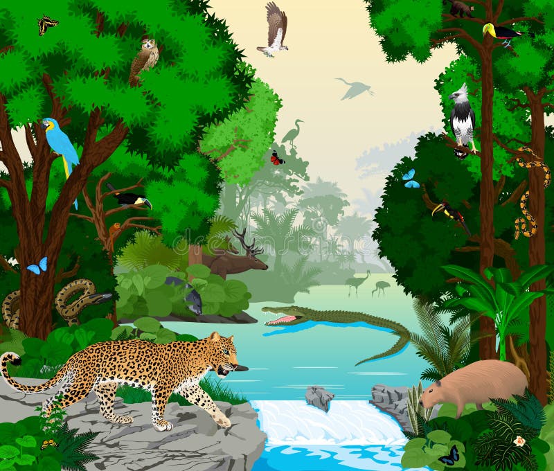 Rainforest River with Animals Vector Illustration. Vector Green Tropical  Forest Jungle with Parrots, Jaguar, Boa, Peccary, Capyba Stock Vector -  Illustration of nature, capybara: 202315193