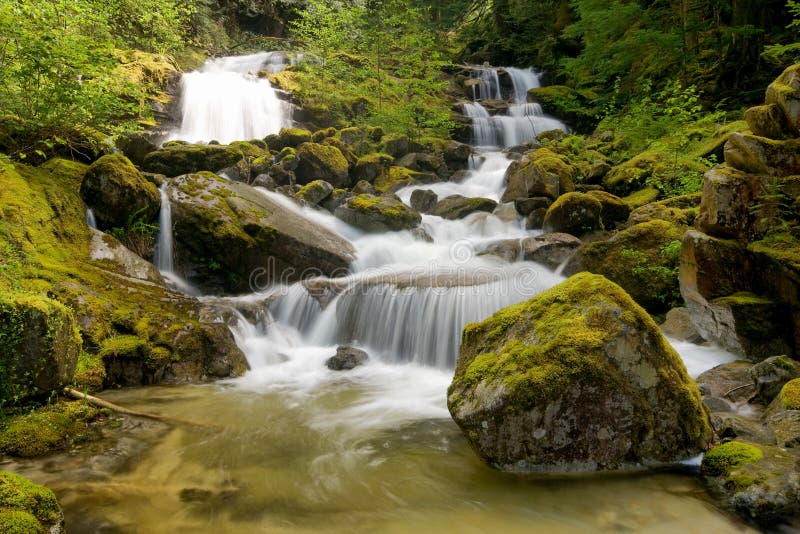 Rainforest Waterfall