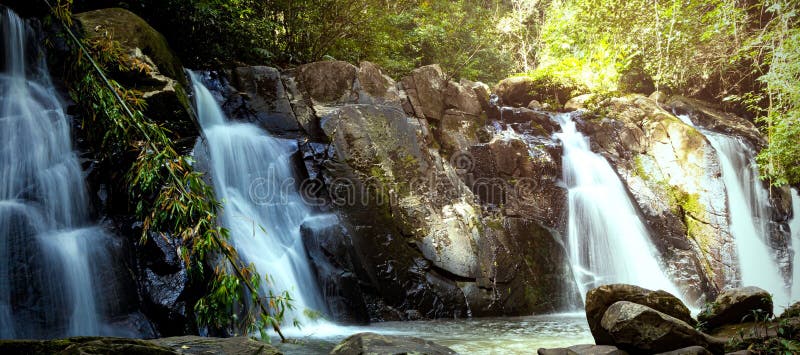 The Rainforest With A Waterfall River Rocks Covered With Green Moss