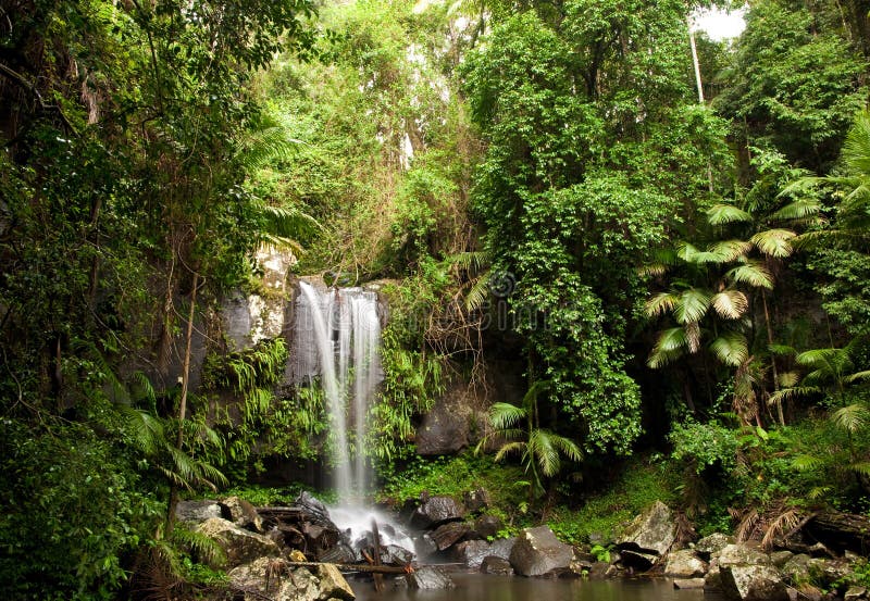 rainforestvattenfall royaltyfri bild rainforestvattenfall royaltyfri bild