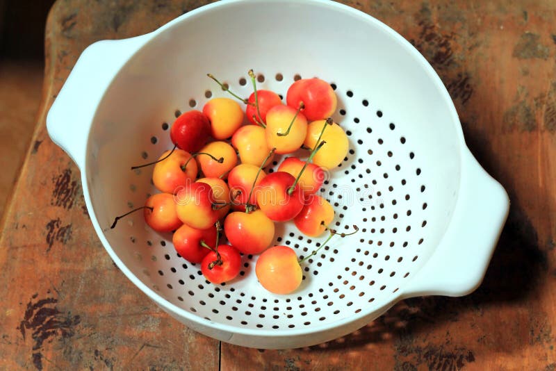 Rainier Cherries in White Colander.