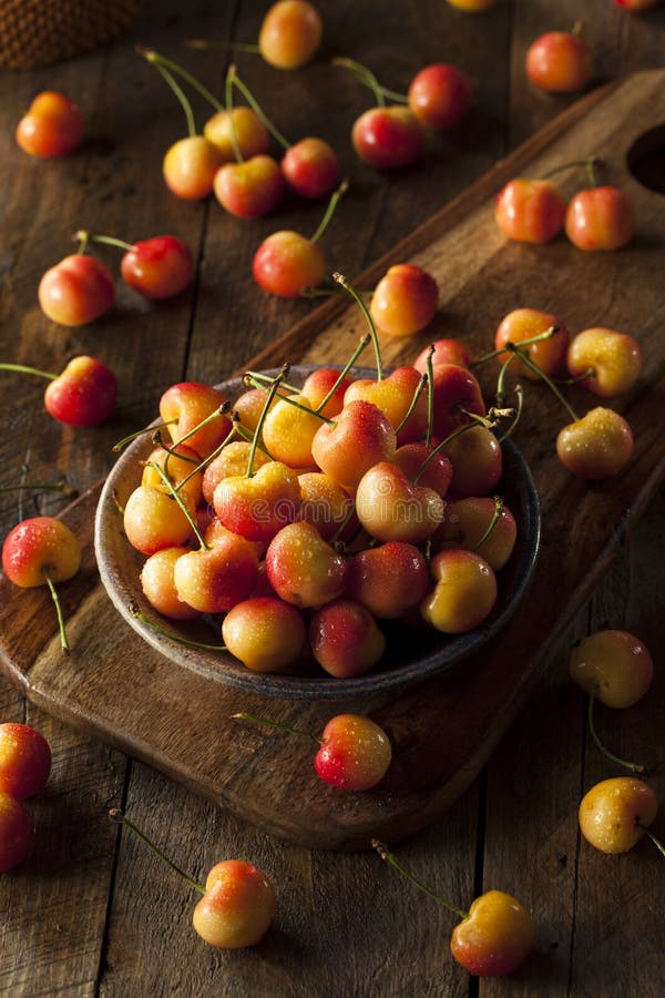 Rainier Cherries orgânico saudável imagem de stock royalty free Rainier Cherries orgânico saudável imagem de stock royalty free