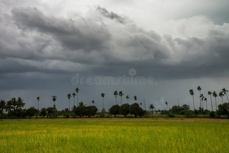 Rainstorm dark clouds is coming over countryside landscape, Thailand.