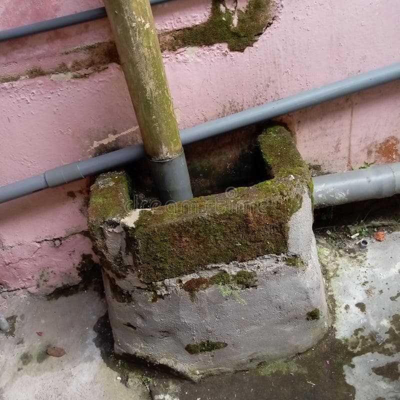 Rainwater Drainage Pipes and Boxes Overgrown with Moss Stock Photo