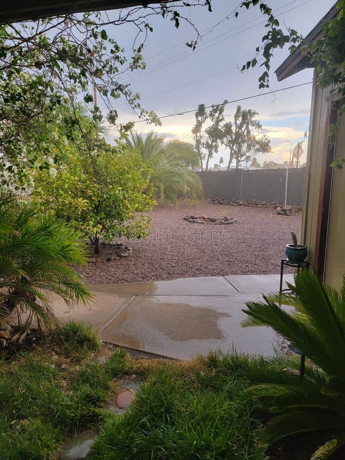 Rainy Day in Arizona Backyard Stock Image Image of patio, rocks 251905765