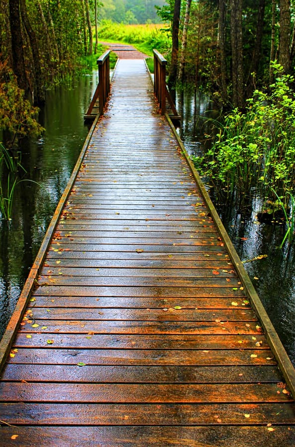 Bagnato ponte di legno sopra la palude in giorno di pioggia.