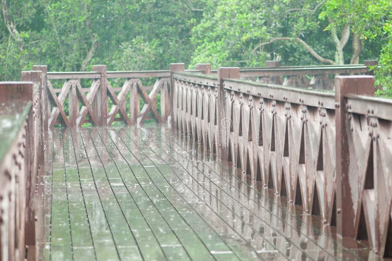 Rainy Day and Wooden Bridge