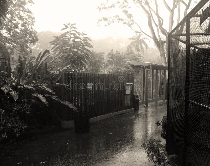 A Day At The Zoo Picture. Image 1750162