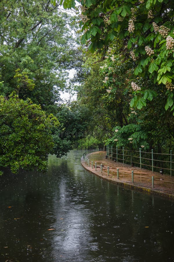 Rainy Park. Alhambra,Granada, Spain Stock Image Image of mirror, rain